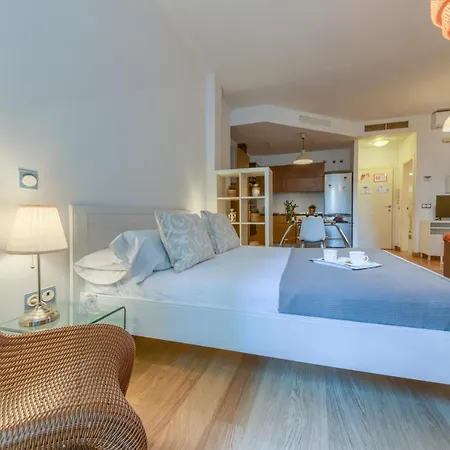 Apartment Lyrioshomes Apartamento Estudio La Biznaga